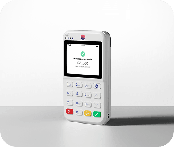 Bold Plus