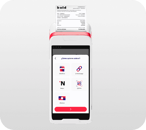 Bold Smart Pro