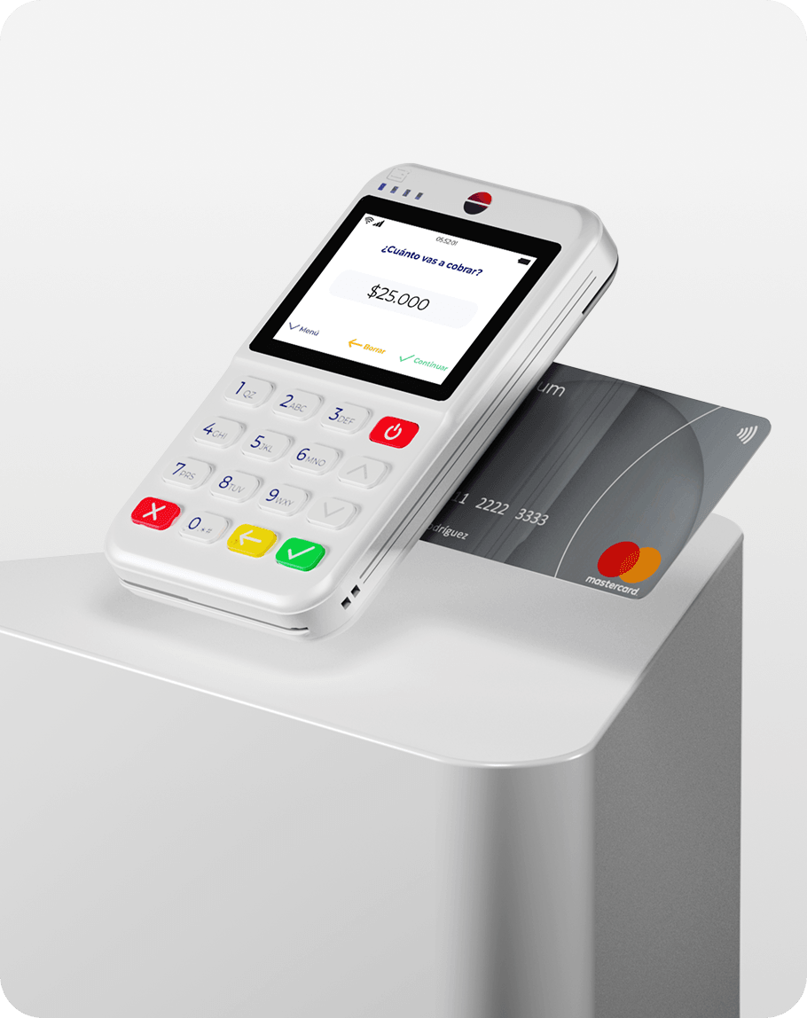 Bold Plus