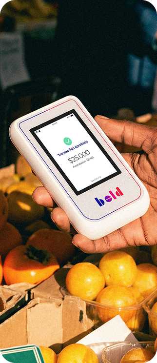 Bold Smart Pro